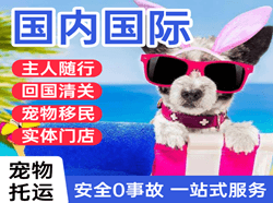 哈尔滨机场空运国际宠物托运 【国